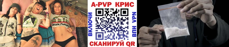 A-PVP СК  Новодвинск 