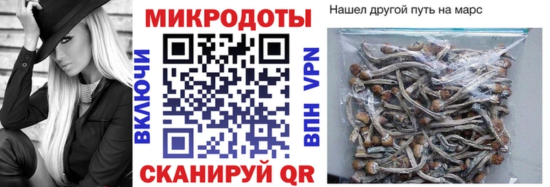 Псилоцибиновые грибы GOLDEN TEACHER  Новодвинск 