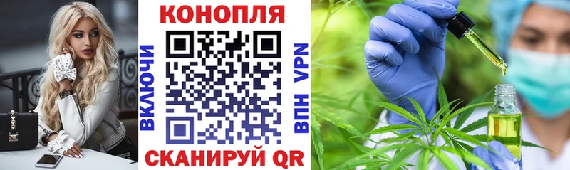 mega   Новодвинск  Каннабис VHQ 